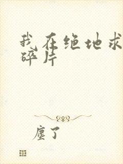 我在绝地求生捡碎片