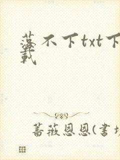 落不下txt下载