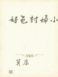 好色村妇小银贼