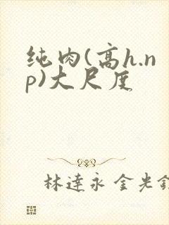 纯肉(高h.np)大尺度