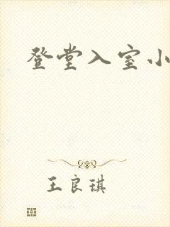 登堂入室小说
