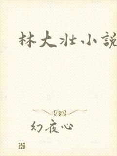 林大壮小说阅读