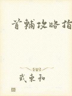 首辅攻略指南封面