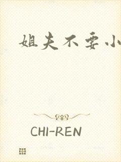 姐夫不要小说封面