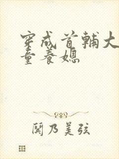 穿成首辅大人的童养媳