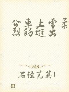 公车上雪柔被猛烈的进出