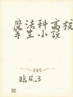 魔法科高校的劣等生小说