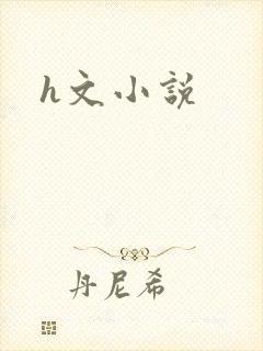 h文小说