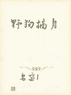 野狗摘月