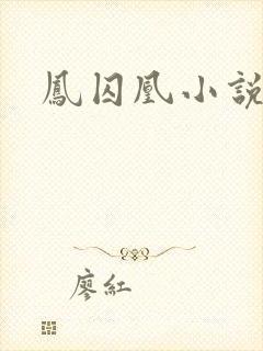 凤囚凰小说