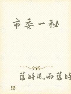 市委一秘