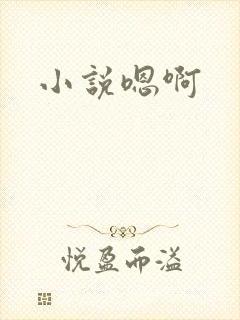 小说嗯啊
