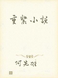 重紫小说