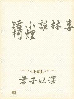 赌小说林喜朝和柯煜