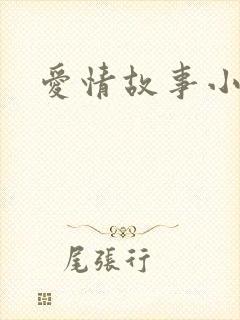 爱情故事小说