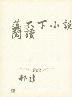 落不下小说免费阅读