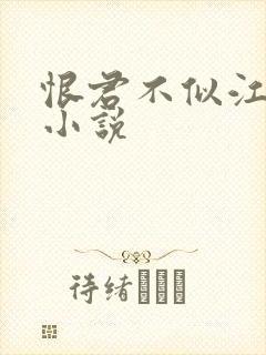 恨君不似江楼月小说