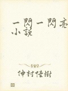 一闪一闪亮星星小说