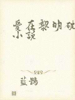 爱在黎明破晓前小说