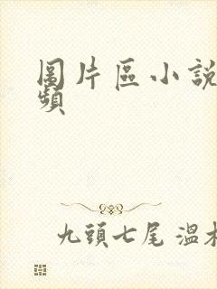 图片区小说区视频