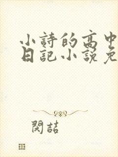 小诗的高中成长日记小说免费阅读