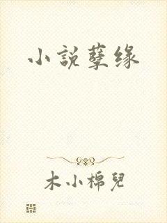 小说孽缘
