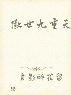 傲世九重天小说