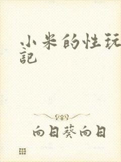 小米的性玩具日记