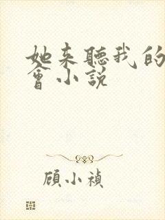 她来听我的演唱会小说