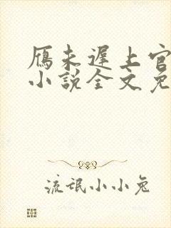 雁未迟上官穿越小说全文免费阅读