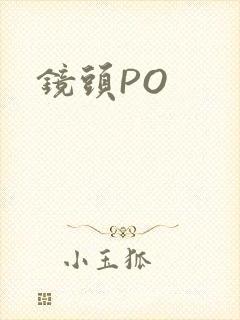 镜头PO