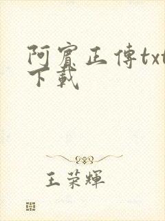 阿宾正传txt下载