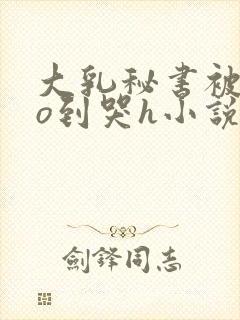 大乳秘书被cao到哭h小说