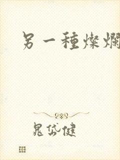 另一种灿烂生活