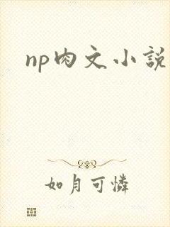 np肉文小说