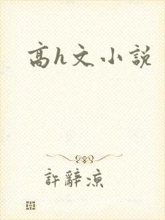 高h文小说封面