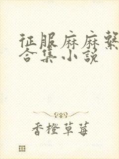 征服麻麻系列大合集小说封面