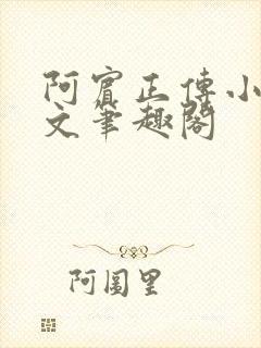 阿宾正传小说全文笔趣阁