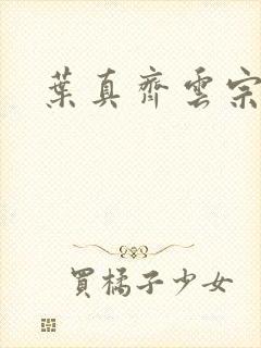 叶真齐云宗免费