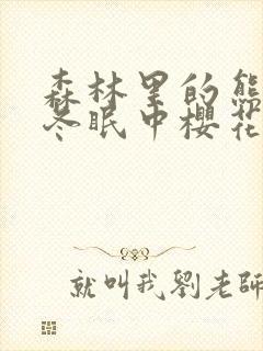 森林里的熊先生冬眠中樱花动漫