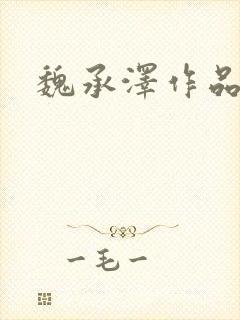 魏承泽作品封面