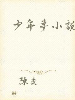少年梦小说