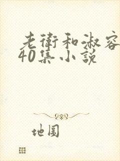 老卫和淑容1-40集小说