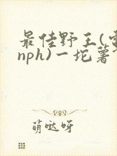 最佳野王(电竞nph)一坨薯饼