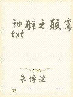 神雕之颠鸾倒凤txt