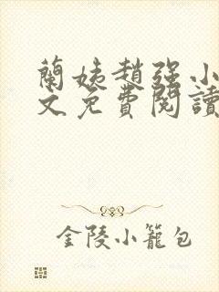 兰姨赵强小说全文免费阅读