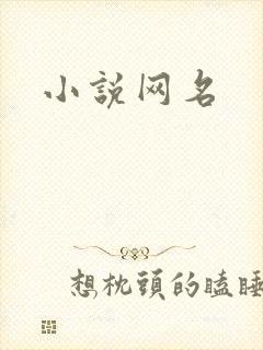 小说网名