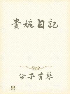 贵婉日记