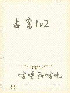 占鸾1v2