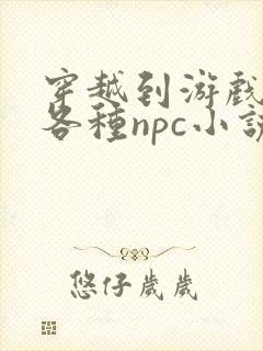 穿越到游戏里和各种npc小说